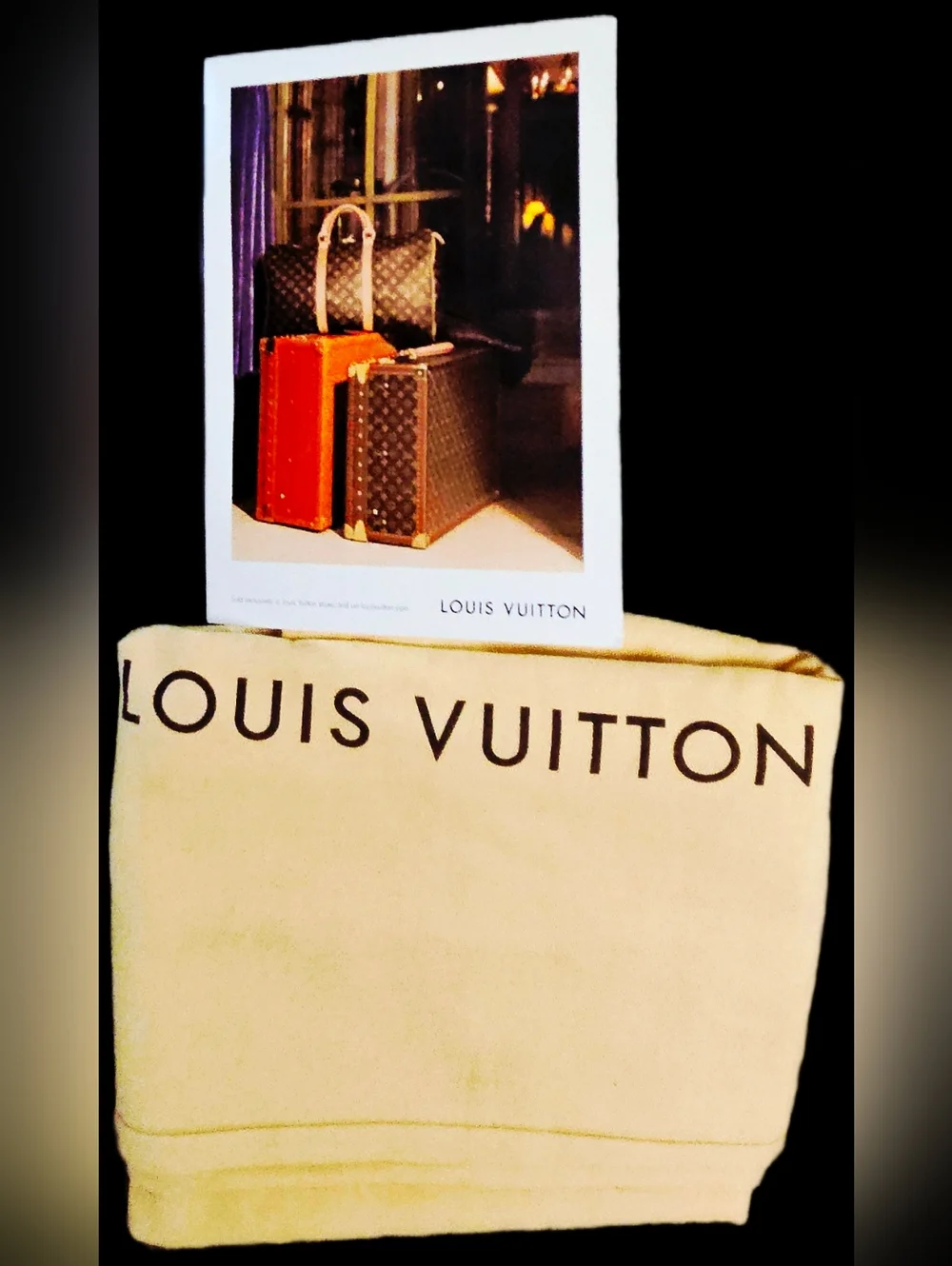 Louis Vuitton XL Luggage Dust Bag Card Holder Set Travel Keepall 55 60 Bundle